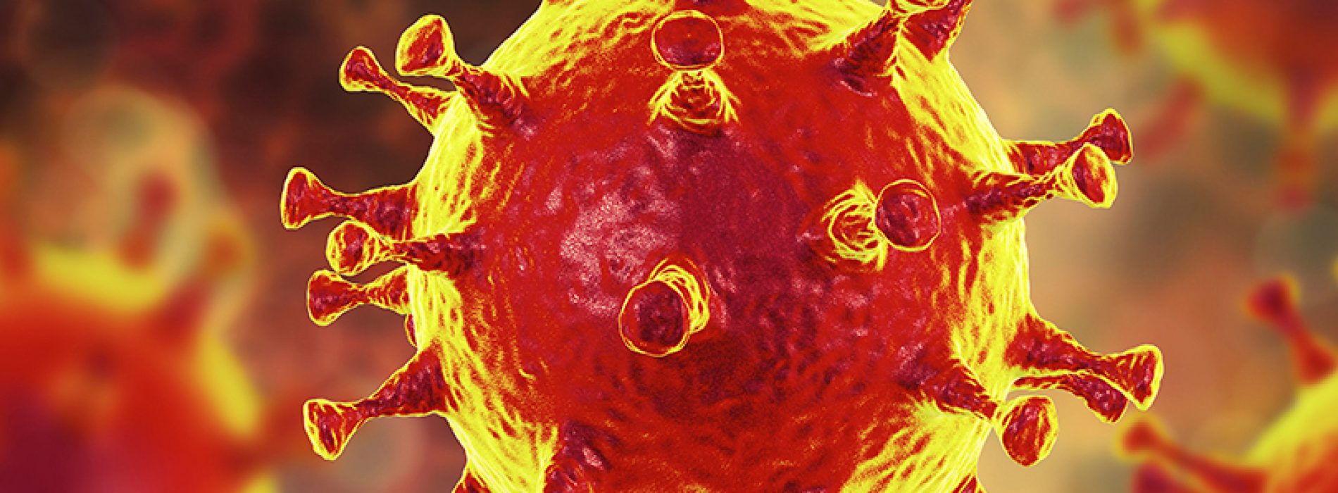 Rastreando células T antivirales en covid-19