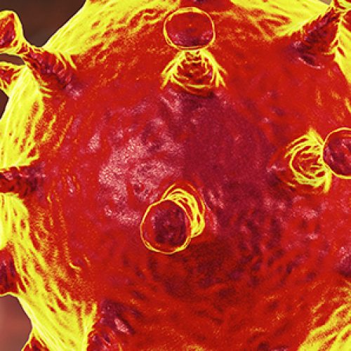 Rastreando células T antivirales en covid-19