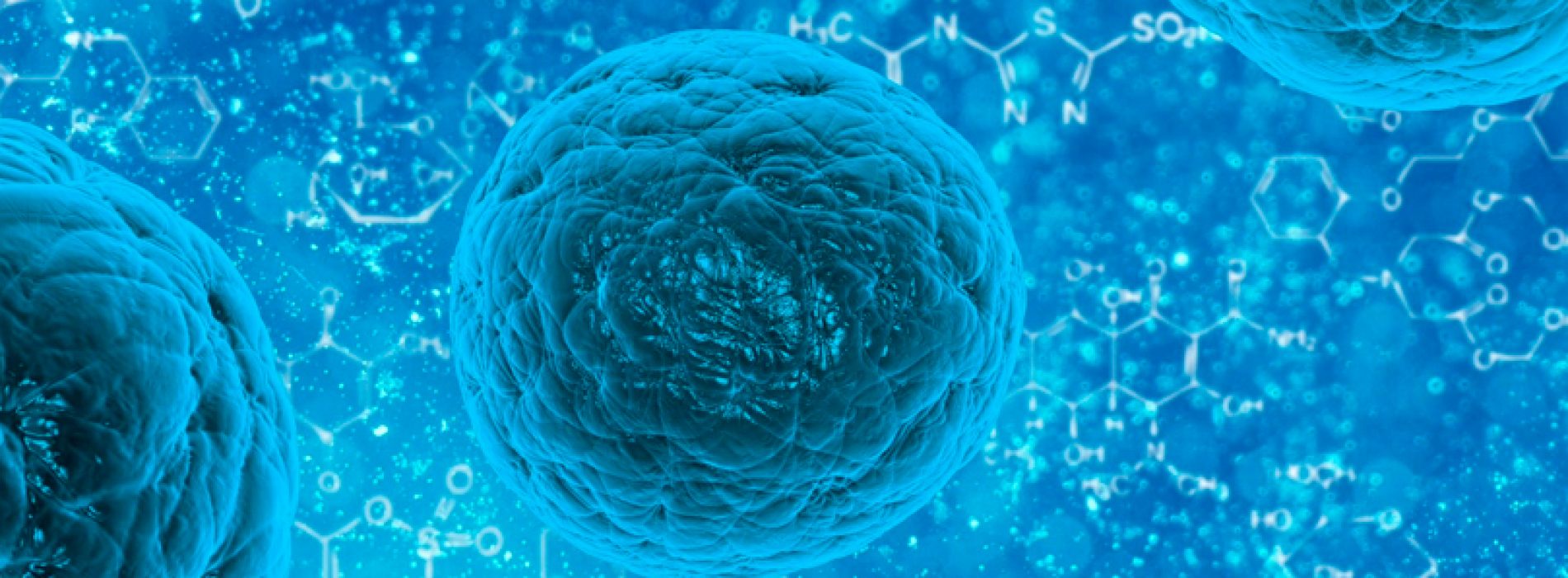 Cómo pequeños cambios en proteínas causan enormes problemas en la célula