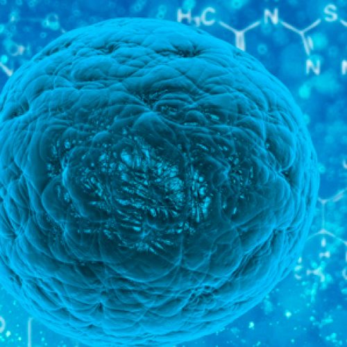 Cómo pequeños cambios en proteínas causan enormes problemas en la célula