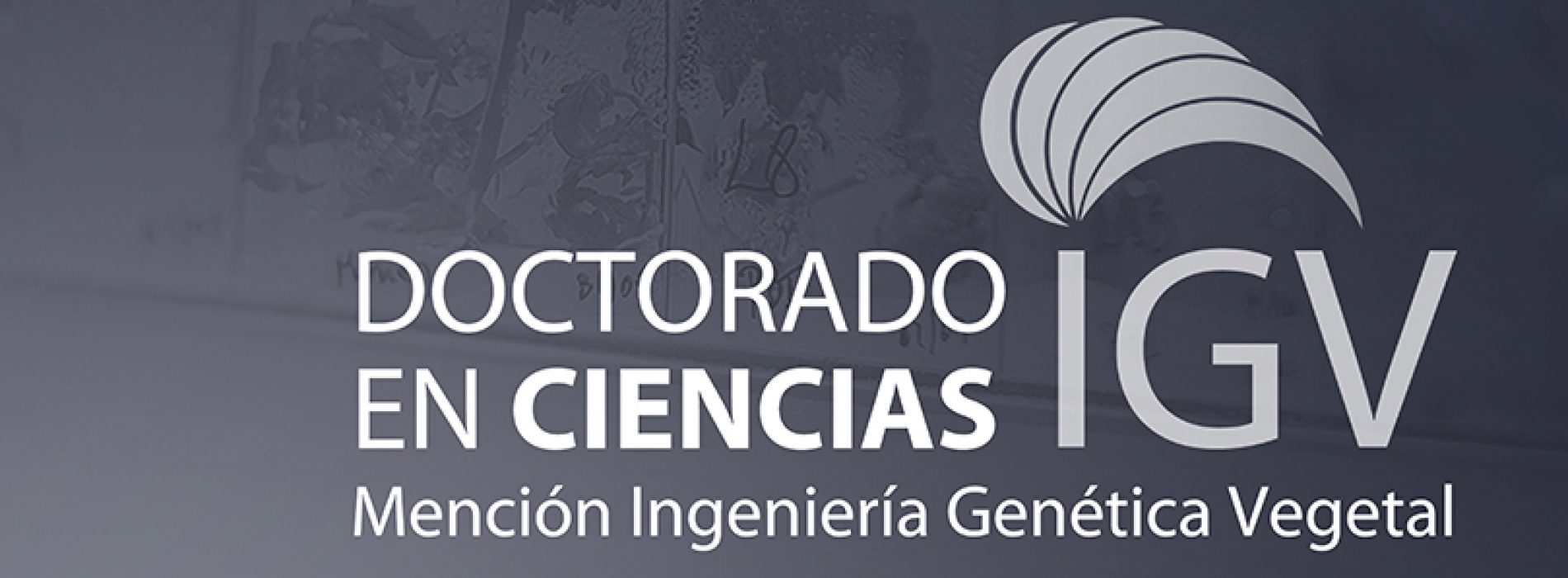 Application to the doctoral program at the University of Talca