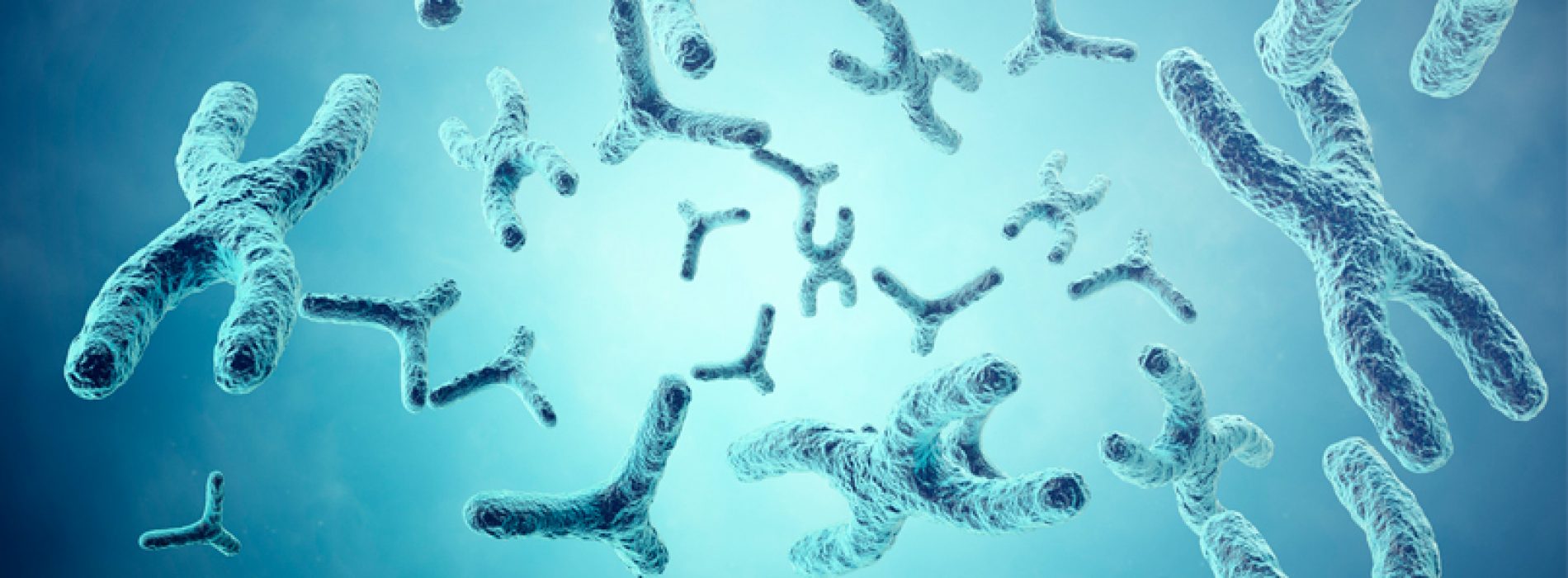 Magíster en Biotecnología y Ciencias de la vida – Universidad Andrés Bello