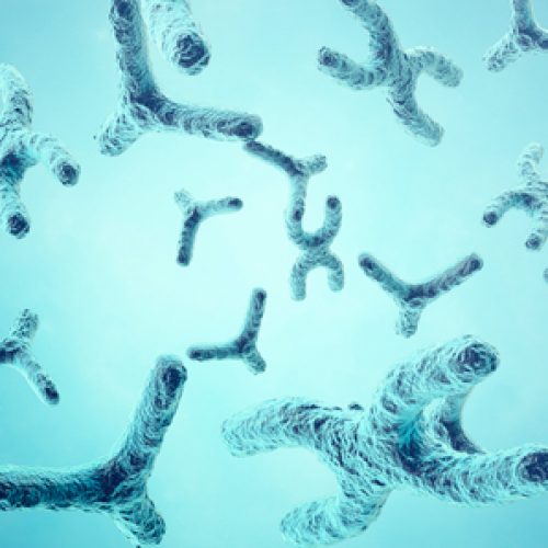 Magíster en Biotecnología y Ciencias de la vida – Universidad Andrés Bello