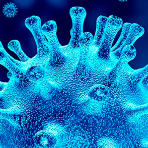 Equipo de Medicina UC logra aislar en el laboratorio el virus causante de covid-19