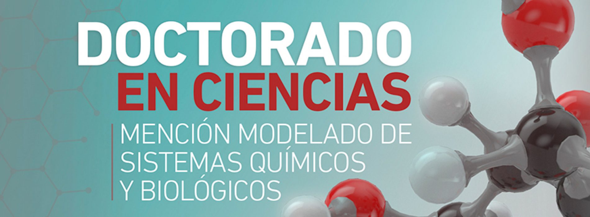 PhD in Science Mention Modeling of Chemical and Biological Systems belonging to the Faculty of Engineering, University of Talca