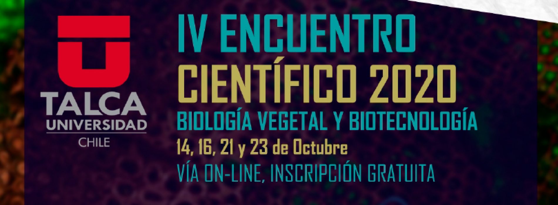 IV Encuentro Científico 2020 – Universidad de Talca
