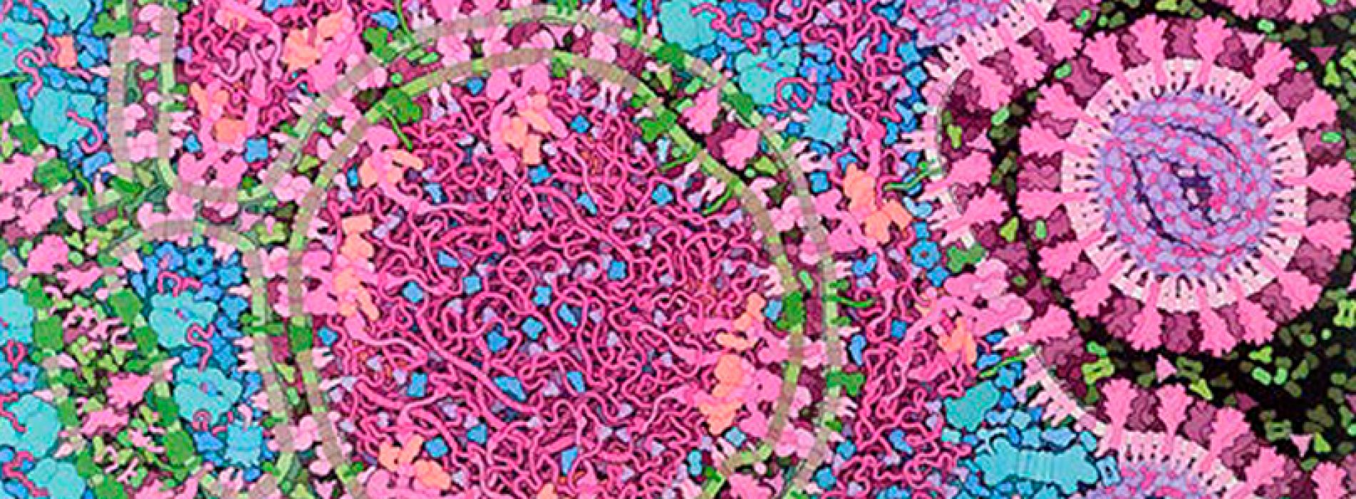 IUBMB November Newsletter: Issue 10