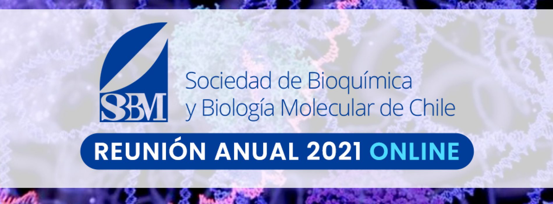 SBBMCh 2021 Online Annual Meeting