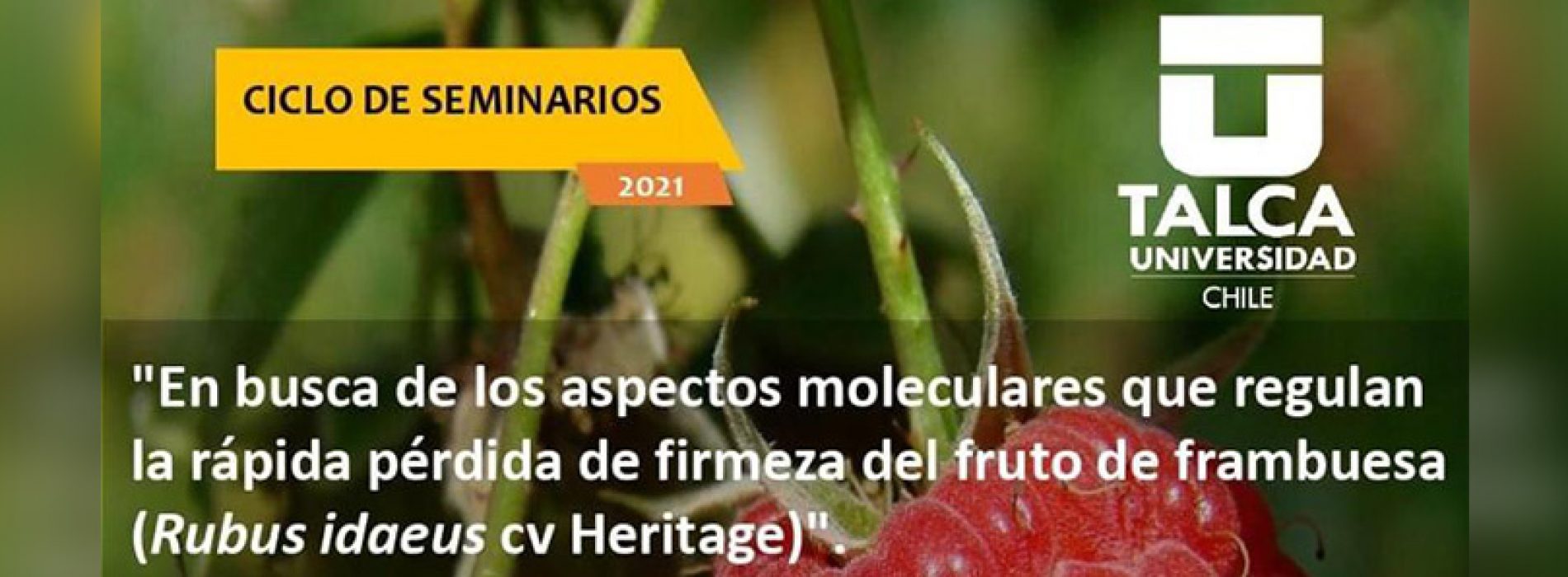 Seminar cycle "Looking for the molecular aspects that regulate the rapid loss of firmness of raspberry fruit (Rudus idaeus cv Heritage)