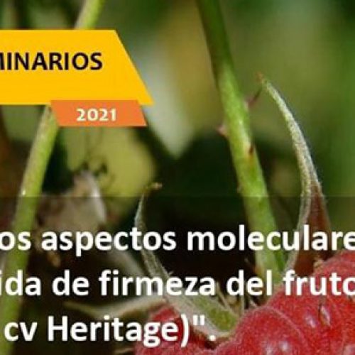 Ciclo de seminarios «En busca de los aspectos moleculares que regulan la rápida pérdida de firmeza del fruto de frambuesa (Rudus idaeus cv Heritage)