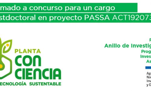 Llamado Concurso Postdoctoral Proyecto Anillo ACT192073