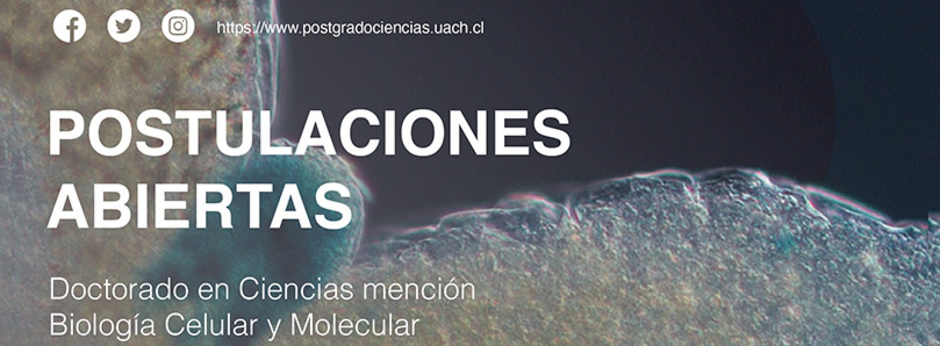 Doctorado UACh