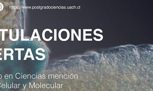 Doctorado UACh