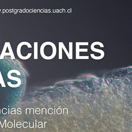 Doctorado UACh