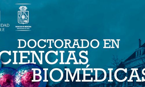 Doctorado en Ciencias Biomédicas – Admisión 2022 – Universidad de Chile