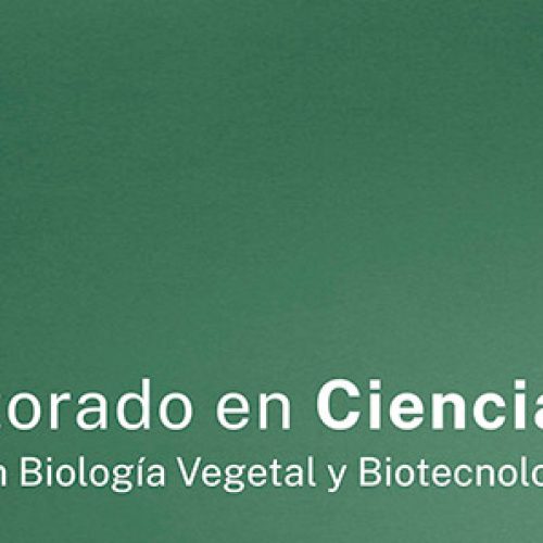 Doctorado en Ciencias Mención Biología Vegetal y Biotecnología DBVB – Admisión 2022 – Universidad de Talca