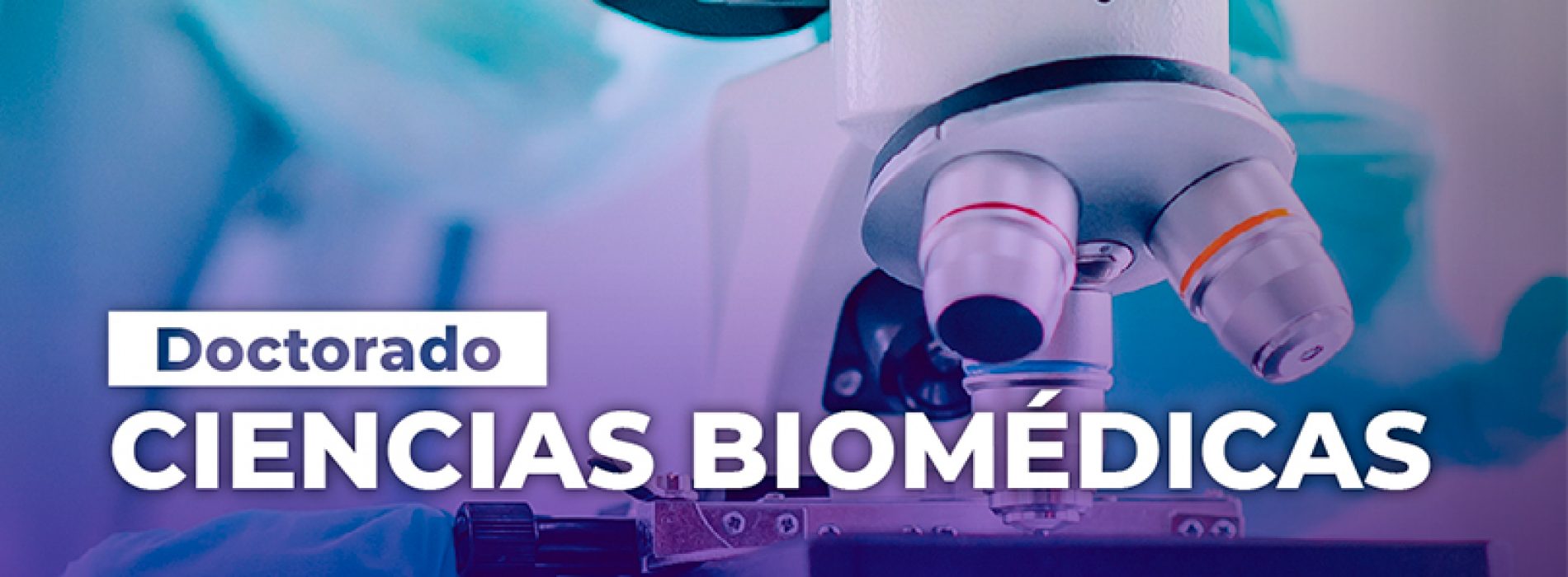 Postulaciones Doctorado en Ciencias Biomédicas – Universidad Autónoma