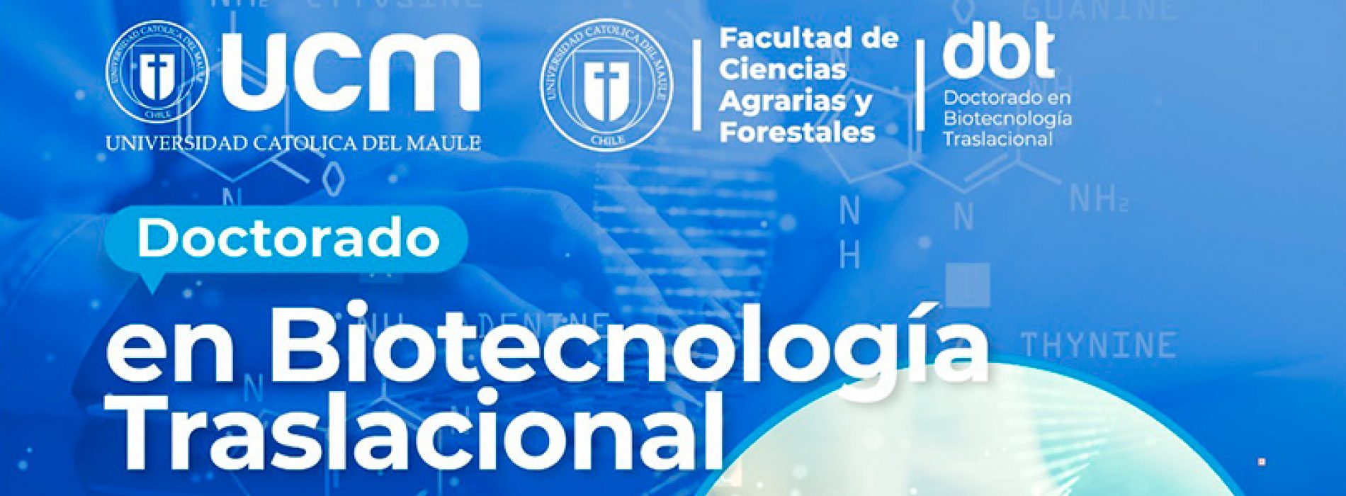 Doctorado en Biotecnología Traslacional – VRIP-UCM