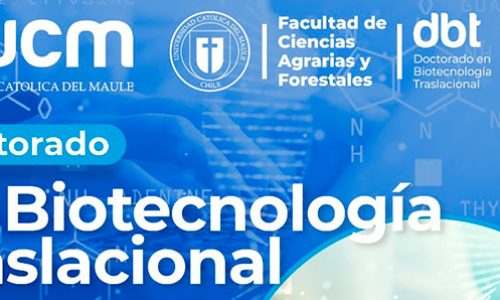 Doctorado en Biotecnología Traslacional – VRIP-UCM