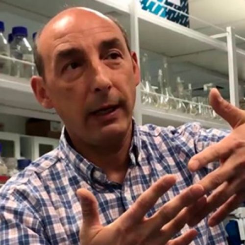 <i>In memoriam</i> Giancarlo De Ferrari (1965-2022)