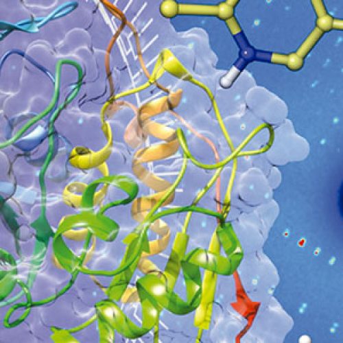 Protein Science Best Paper awards