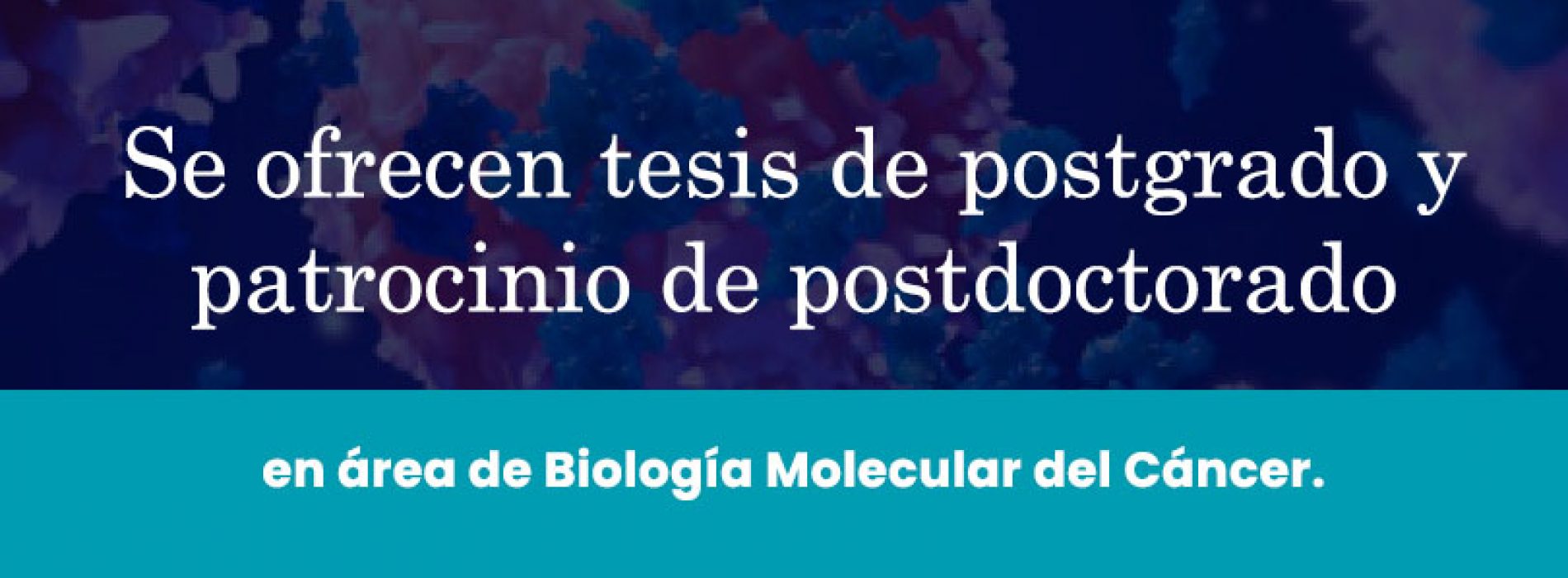 Se ofrecen tesis de postgrado y patrocinio de postdoctorado en área de Biología Molecular del Cáncer.