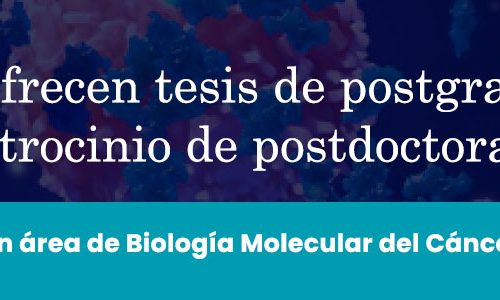 Se ofrecen tesis de postgrado y patrocinio de postdoctorado en área de Biología Molecular del Cáncer.