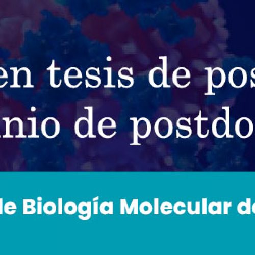 Se ofrecen tesis de postgrado y patrocinio de postdoctorado en área de Biología Molecular del Cáncer.