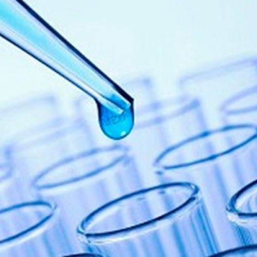 Socios de la SBBM destacados en la primera edición del ranking de Research.com