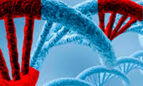 How neutral are synonymous mutations?