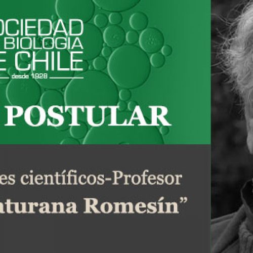 Llamado a postular “2do Simposio de jóvenes científicos-Profesor Dr. Humberto Maturana Romesín”