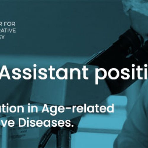 Research Assistant position – Universidad Mayor