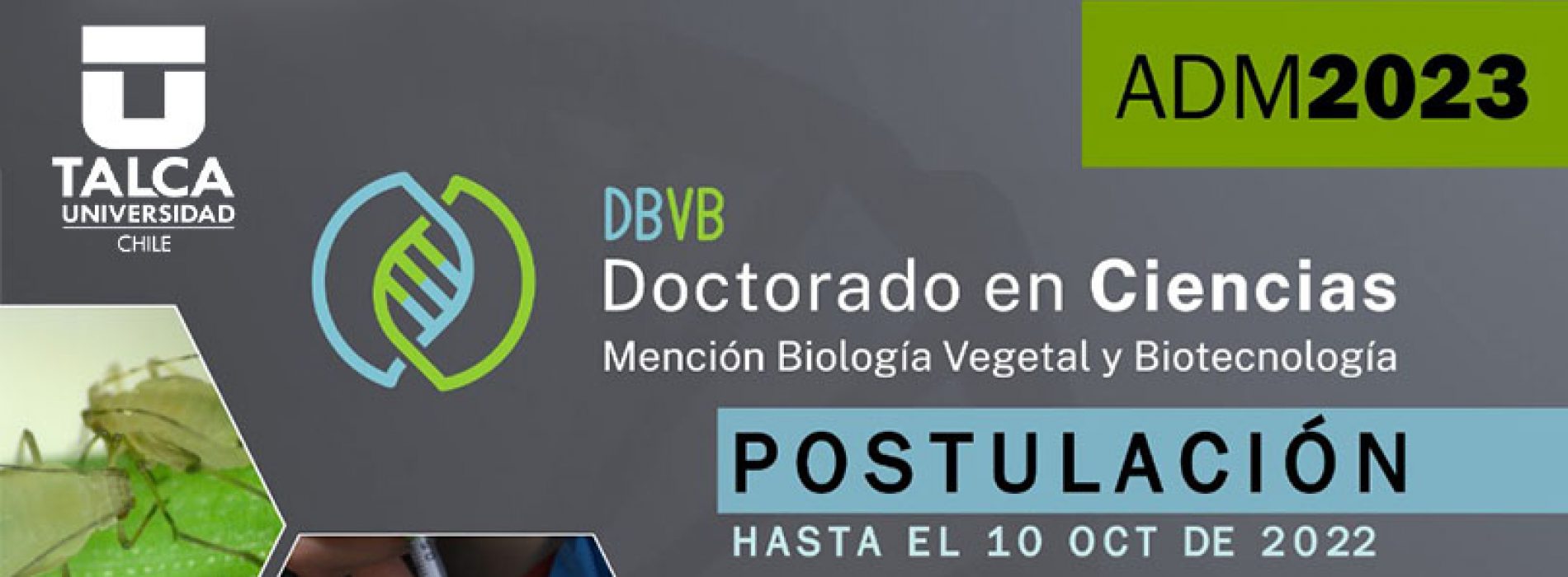 Doctorado en Ciencias Mención Biología Vegetal y Biotecnología