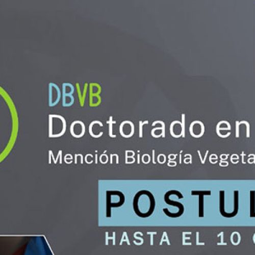 Doctorado en Ciencias Mención Biología Vegetal y Biotecnología