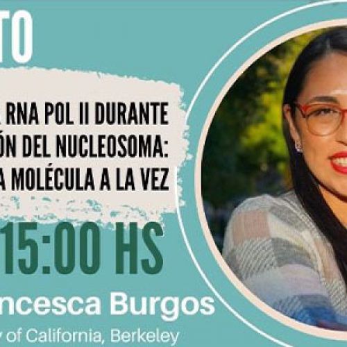 Virtual Talk: Latin Americans in Biophysics around the World