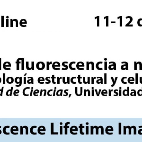 Workshop fluorescencia resuelta en el tiempo