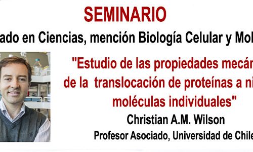 Seminario «Estudio de las propiedades mecánicas de la translocación de proteínas a nivel de moléculas individuales»