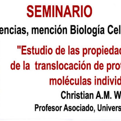 Seminar "Study of the mechanical properties of protein translocation at the level of individual molecules"