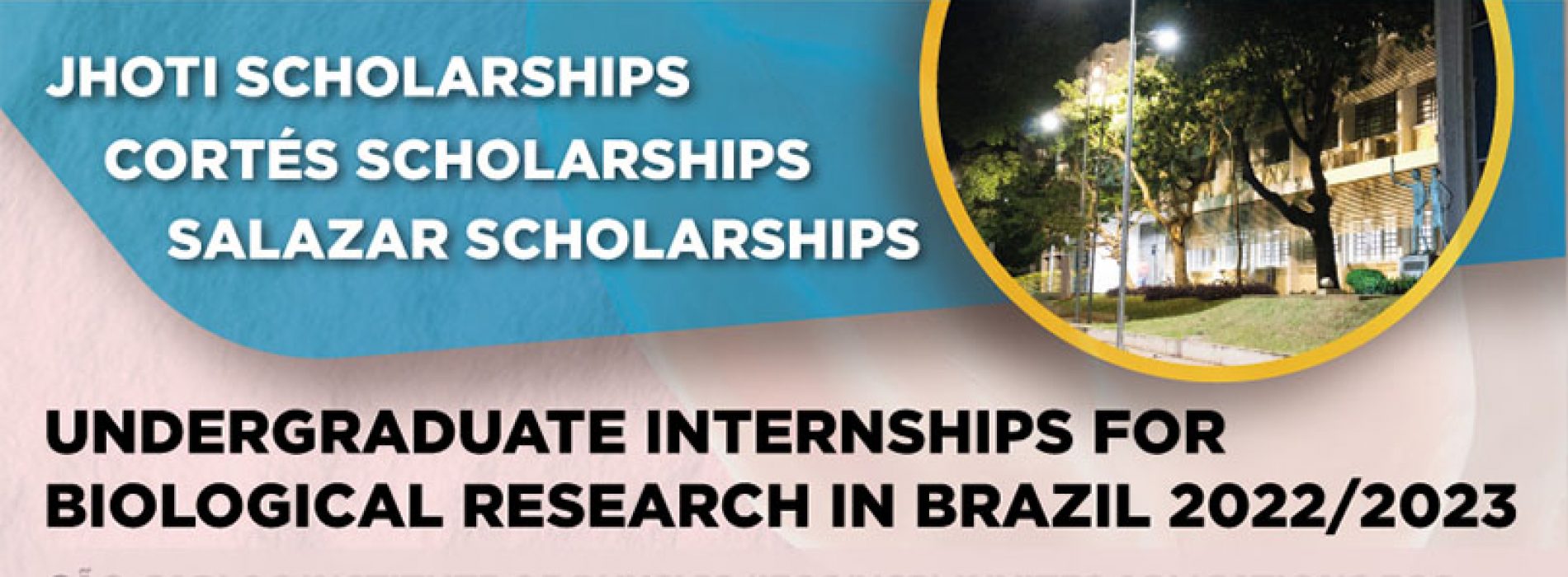 Internships at The Institute of Physics of San Carlos (Brazil)