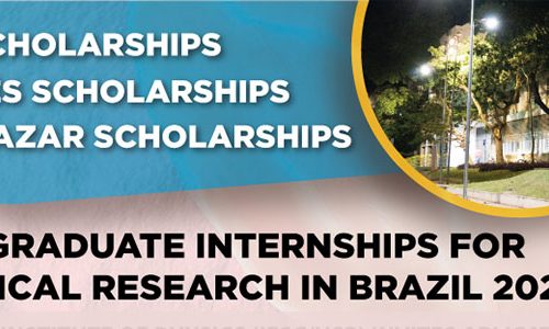 Internships at The Institute of Physics of San Carlos (Brazil)
