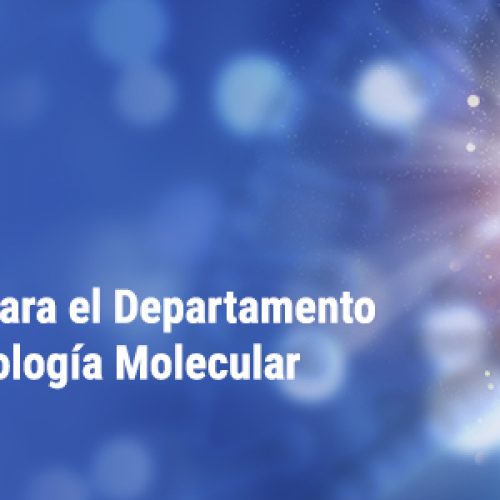 Llamado a Concurso Público para cargo académico para el Departamento de Bioquímica y Biología Molecular