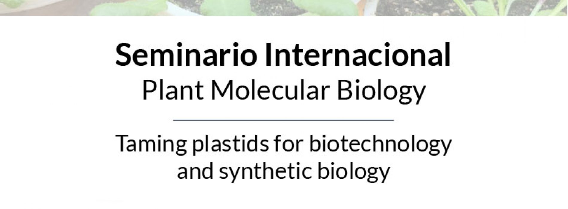 Seminario Internacional Plant Molecular Biology