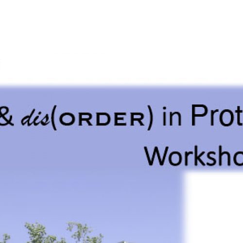 Workshop and Seminar: “Chaos, Panic & dis(Order) in Protein Evolution”
