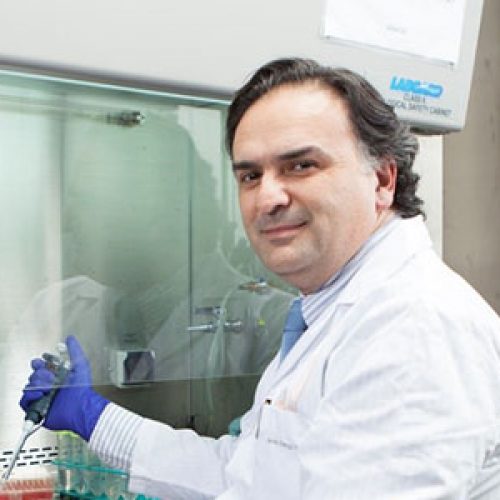 Martín Montecino states that "Discovery is addictive. It is a unique experience. I think it would be very nice if the children discovered it at school."