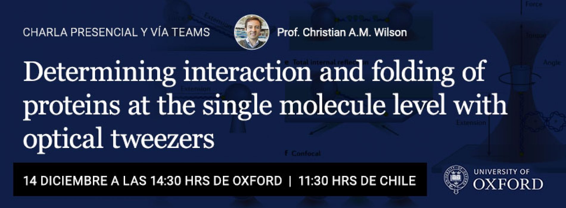 Charla “Determining interaction and folding of proteins at the single molecule level with optical tweezers”