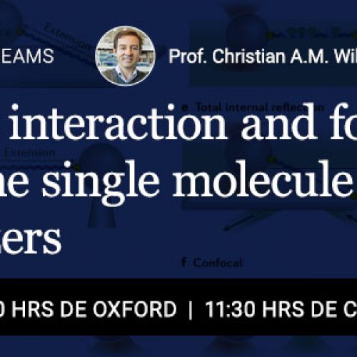 Charla “Determining interaction and folding of proteins at the single molecule level with optical tweezers”