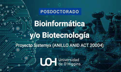 Postdoctoral researcher notice for the SYSTEMIX Center