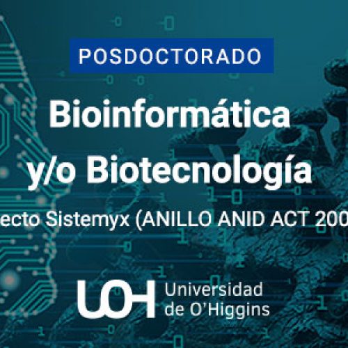 Aviso investigador postdoctoral para el Centro SYSTEMIX