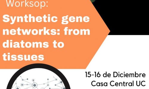 Worksop: Synthetic gene networks