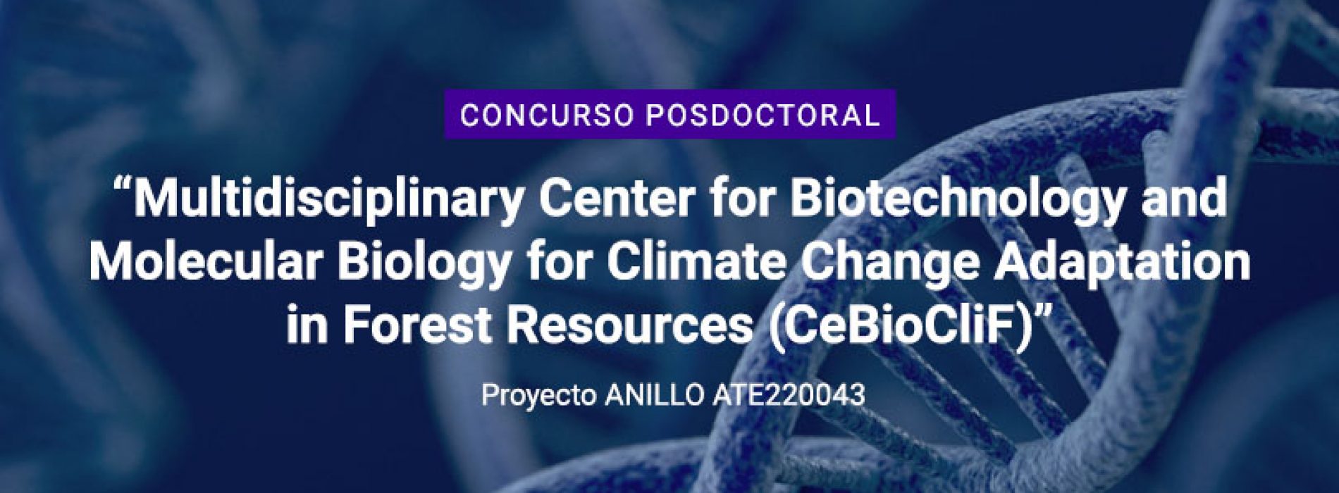 Postdoctoral position competition